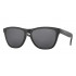 Oakley Frogskins Polarized
