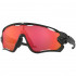 Oakley Jawbreaker