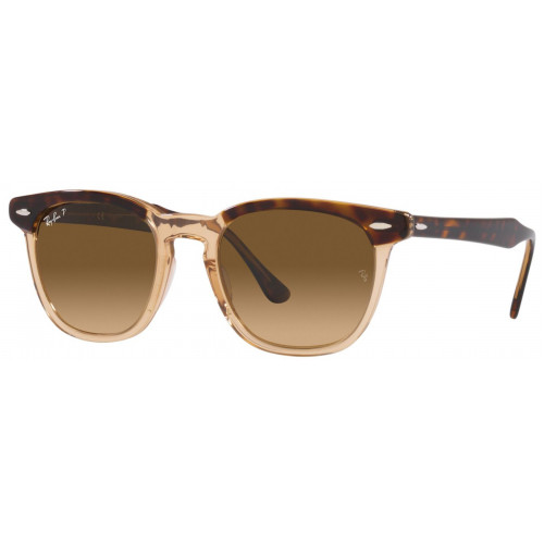 Ray Ban RB2298 Hawkeye Polarized