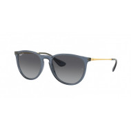 Ray Ban RB4171 Erika Polarized