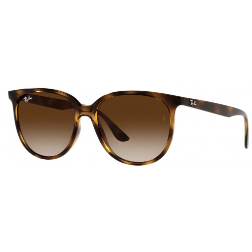 Ray Ban RB4378