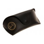 Ray Ban Case