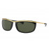 Ray Ban RB2319 Olympian 1