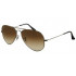 Ray Ban RB3025 Aviator 