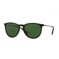 Ray Ban RB4171 Erika Polarized
