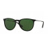 Ray Ban RB4171 Erika Polarized