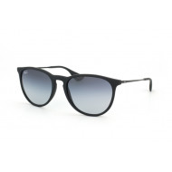 Ray Ban RB4171 Erika  