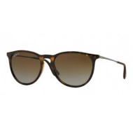 Ray Ban RB4171 Erika Polarized