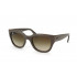 Ray Ban RB4178 