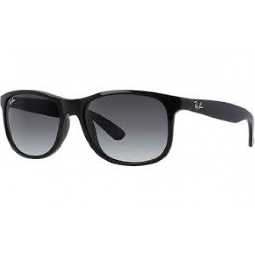 Ray Ban RB4202 Andy