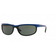 Ray Ban RB2027 Predator 2