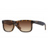 Ray Ban RB4165 Justin