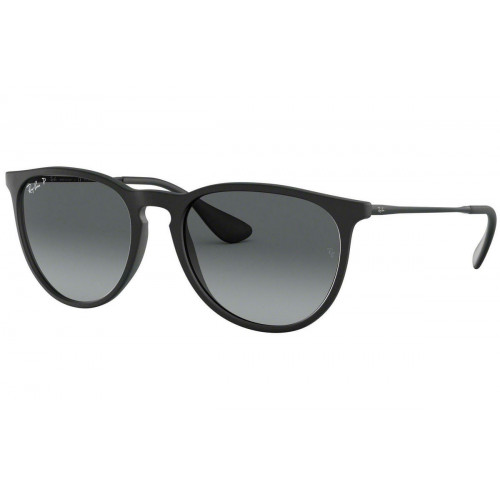 Ray Ban RB4171 Erika Polarized