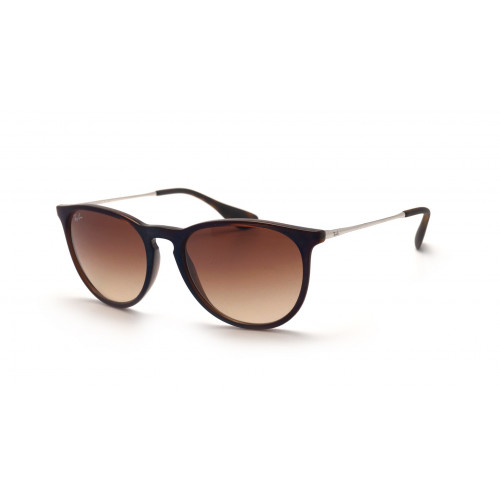 Ray Ban RB4171 Erika