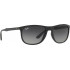 Ray Ban RB4291