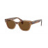 Ray Ban RB0880S Polarized