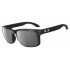 Oakley Holbrook Polarized